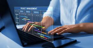 Gestión de proyectos